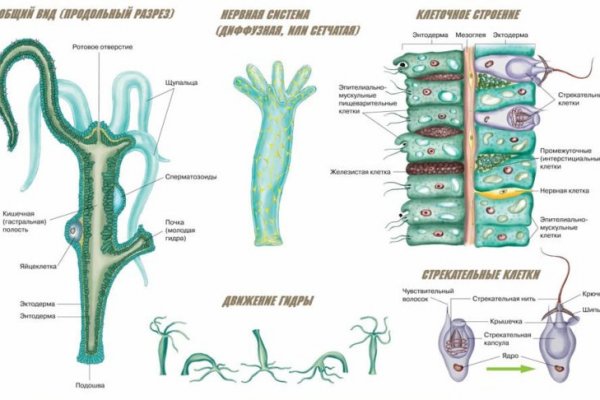 Кракен сайт 1kraken me