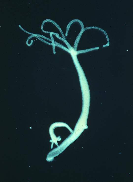 Kraken сайт kraken clear com